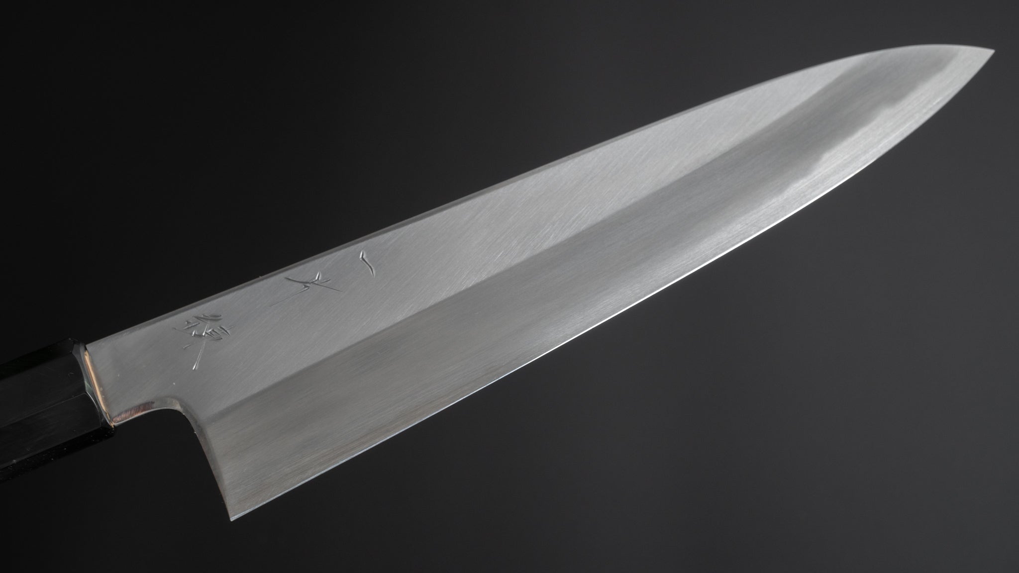 Hitohira Kikuchiyo Ren Blue #2 Gyuto 210mm Ho Wood Handle 사진 3/4