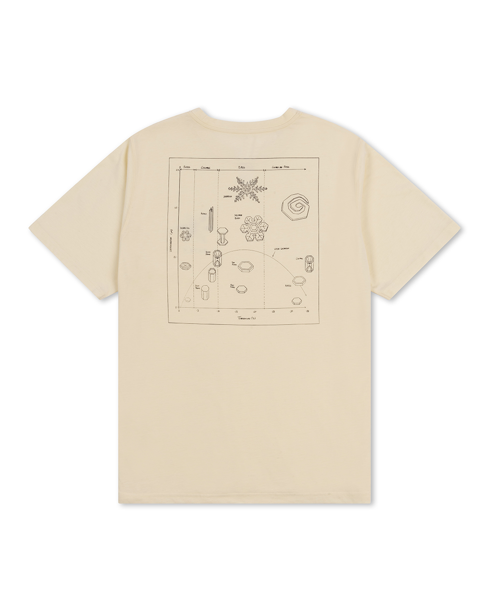 Infographic Equi-Tee Natural 사진 4/4