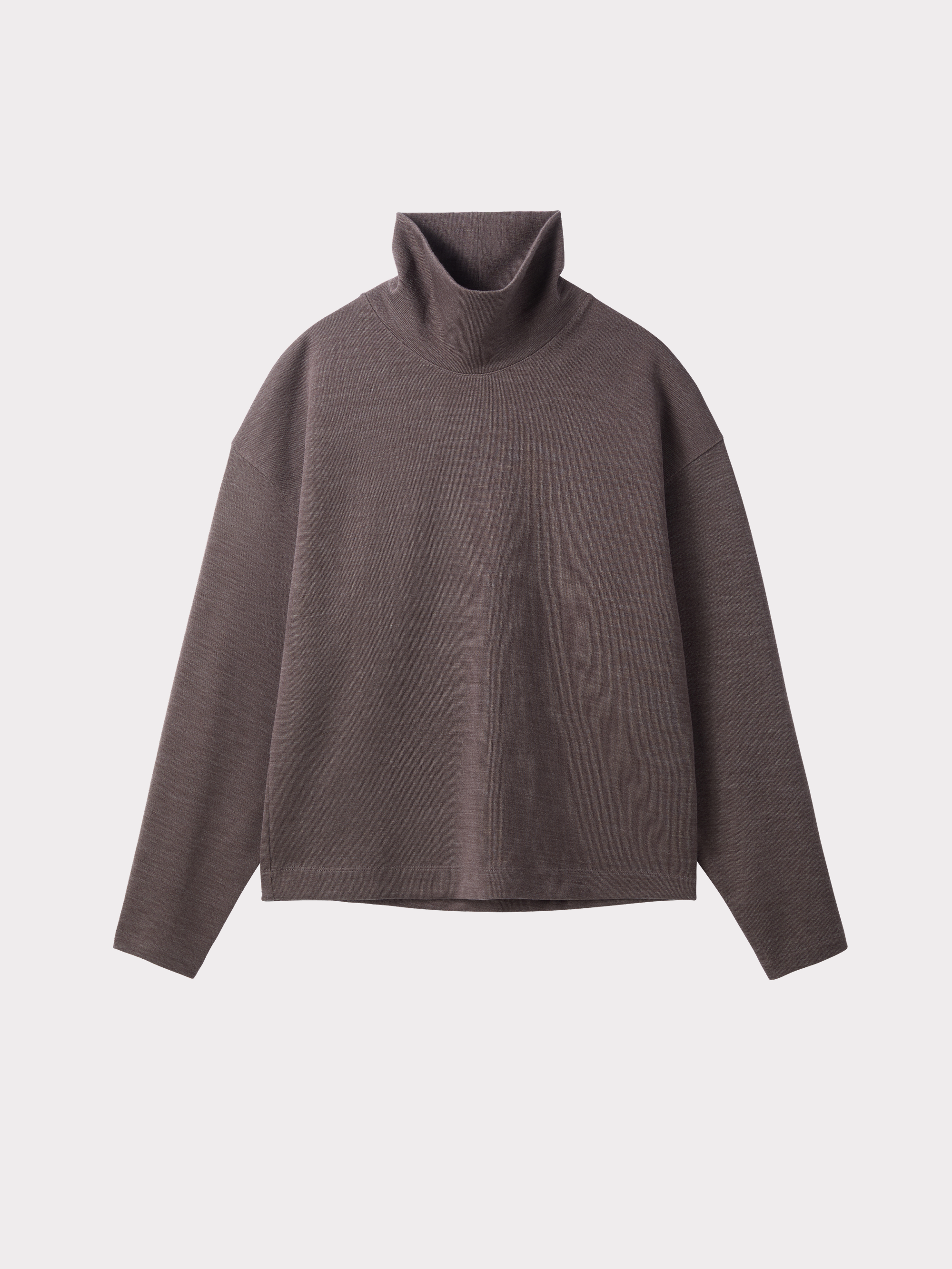 High Neck Wool Jersey Top (Taupe Brown) 사진 3/4